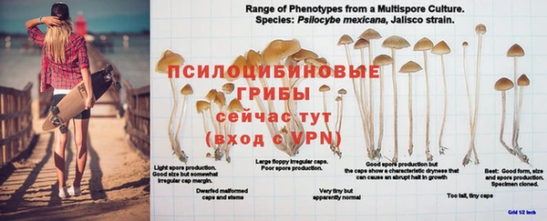 apvp Богородск